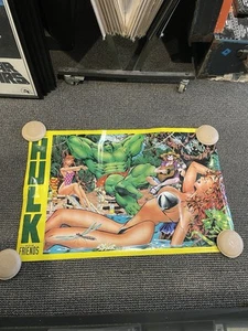 The Incredible Hulk & Friend Poster Marvel Dale Keown #142 34x22 * Brandneu - Bild 1 von 2