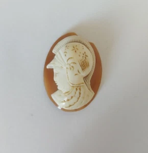 CAMMEI-CAMEI-CAMEO-CONCHIGLIA-VECCHIO CAMMEO-MM 30X22-TORRE DEL GRECO-ANNI 40 - Imagen 1 de 5