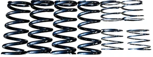 RYFT Lamborghini Aventador Performance Lowering Springs SSV-FF-V1 SSV-RR-V1. - Foto 1 di 3