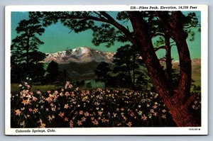 Cartolina Lino Colorado Springs Pikes Peak Elevation 14.109 piedi c1930 non spedita - Foto 1 di 2