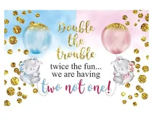 Double The Trouble Twice The Fun We are Having Babyparty Hintergrund 7x5 - Bild 1 von 1
