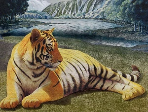 Dufex Foil Picture Print - Tiger River - size 6" x 8" - Picture 1 of 1