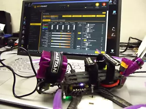 CUSTOM Quad Tuning PRO LEVEL FPV Drone TUNE Freestyle Racing Cinematic *READ* - Picture 1 of 19