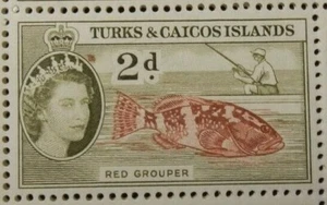 TURKS AND CAICOS ISLANDS 1948 SG229 2d. RED GROUPER - MNH - Picture 1 of 1