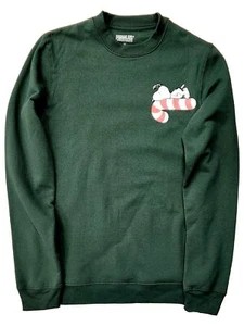 Boys Green Peanuts Snoopy Christmas Long Sleeve Sweatshirt Sweater - Picture 1 of 2