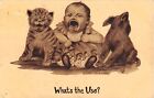 1912 Sepia-Toned Comic PC - Crying Kitten, Crying Baby, Crying Puppy by V. Colby