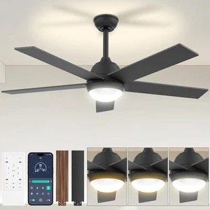 Black Outdoor Ceiling Fan - 52 Inch ceiling fans with lights Remote & APP, 6 ... - Picture 1 of 7