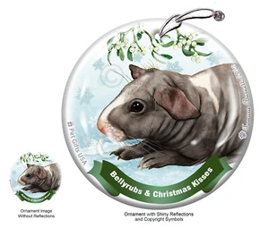 Bellyrubs & Kisses Ornament - Skinny Hairless Guinea Pig - Picture 1 of 1