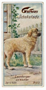 LEONBERGER DOG VICTORIAN ADVERTISING CARD GARTMANN SCHOKOLADE CIRCA 1900 - Picture 1 of 2