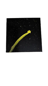 Shooting Star Painting Original Art  Acrylic  abstract 5x5 - Picture 1 of 4