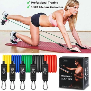 Resistance Bands Set, Exercise Bands with Door Anchor, Strap, Handles, Carry Bag - Picture 1 of 8