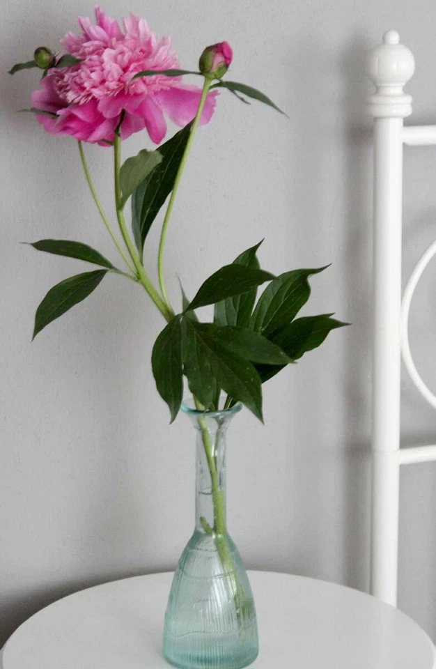 Vase Blumenvase Glas hoch schmal schlank Tischvase Vintage Shabby recycling NEU - Bild 1 von 2