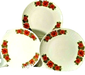 Vintage Mitterteich Bavaria Porcelain Dinner Plates - Collectible Red Flowers -3 - Picture 1 of 10