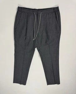 SUITSUPPLY Grey Striped Wool Ames Pleated Drawstring Pants 32x24 Wool City - Picture 1 of 10