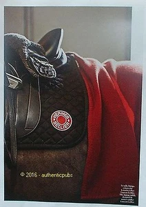 PUBLICITE HERMES SELLIER SELLE ARPEGE LAURENT GOBLET MAROQUINERIE DE 2015 AD PUB - Imagen 1 de 1