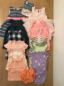 Carter's & Other Infant Girls Clothing Lot of 16 (10 New) Size 9, & 9-12 Months - Picture 1 of 17
