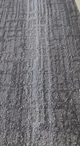 Beautiful Rug 12’x15’Gryish, Silver Ish Color - Picture 1 of 4