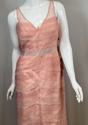 NWT Adrianna Papell Blush Pink Organza Ombre Evening Gown Dress, Size 6 - Image 1 of 4