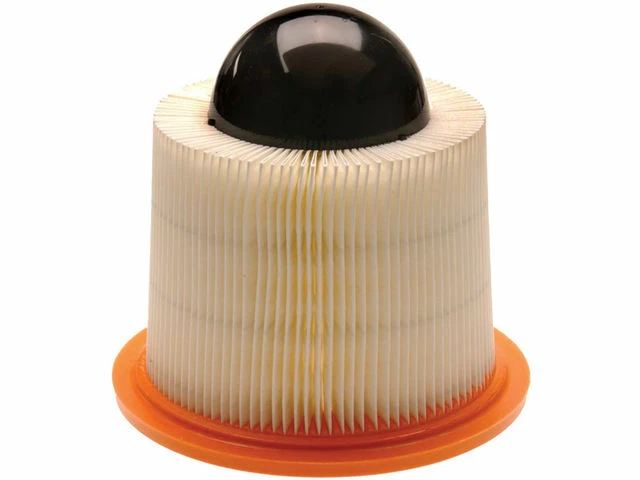 Filtro de aire para Lincoln Continental 1995-2002 4,6 L V8 VIN: V FI 1996 1997 W447PN Foto 1 de 1