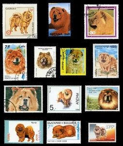 CHOW CHOW CHINESE DOG POSTAGE STAMP INTERNATIONAL COLLECTION X 13 - Picture 1 of 1