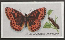 PHILLIPS-BRITISH BUTTERFLIES No.1 ISSUE 1911-#27- PEARL BORDERED FRITILLARY 