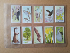 Brooke Bond-A Journey Downstream(1990)-Full Set of 25 in sleeves-EXC Condition