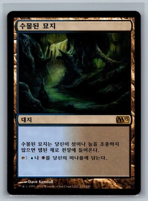 Magic The Gathering KOREAN Magic 2013 Drowned Catacomb #223/249 MTG TCG CCG M13 - Image 1 of 2