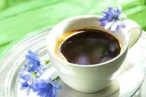 50 X CHICORY SEEDS-COFFEE SUBSTITUTE-MAKE YOUR OWN COFFEE-GARDEN HERB PLANT - Picture 1 of 6