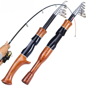 Telescopic Fishing Rod 1.6M Cork Handle Spinning/Casting Fishing Role Protable - Picture 1 of 20