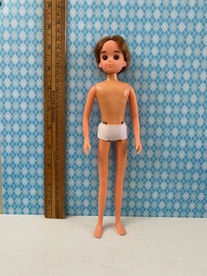 Muñeca Licca Boy Friend Isamu 2ª Generación Takara Japón Foto 1 de 4