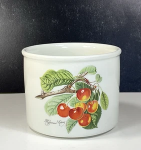 Maceta de cerezas Portmeirion Pomona Biggarreux marca antigua - Imagen 1 de 5