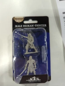 Pathfinder Deep Cuts: Human Male Fighter (72596) - Picture 1 of 1