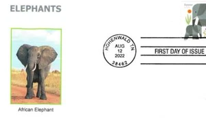 Elephants, African Elephant - Picture 1 of 1