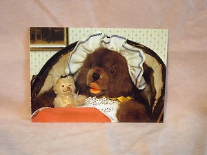 Steiff - Steiff Teddy Baby and Minky Zotty Postcard - Picture 1 of 1