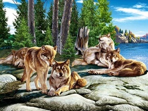 WOLF FAMILIE ON THE ROCKS - 3D BILD DRUCK 400mm x 300mm - Bild 1 von 2