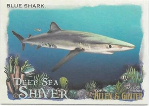 2021 Allen & Ginter  BLUE SHARK Deep Sea Shiver #DDS-5 - Picture 1 of 1