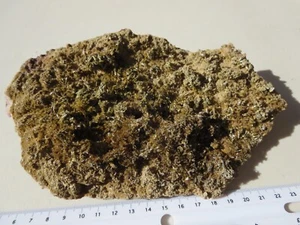 527 ENDLICHITE SPECIMEN. LOS LAMENTOS, MEXICO. EX CLOSED OLD TIME ROCK SHOP - Picture 1 of 6
