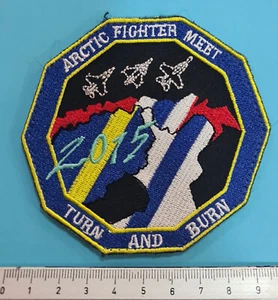 Rare ® NATO ARCTIC FIGHTER MEET 2015 patch Finnish Airforce/Swedish Airforce - Picture 1 of 2