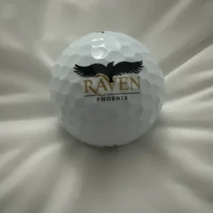 Titleist Velocity Raven Golf Club Phoenix AZ Golf Ball Golfing Advertising PGA - Picture 1 of 3