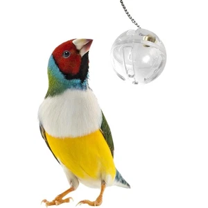 Hängendes Futterspielzeug mit Kettenglocke, Futterbox, Kauspielzeug, Papageien - Picture 1 of 6