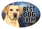 Yellow Labrador BEST DOG EVER! Oval 4"x6" Fridge Car Magnet Large Size USA Made