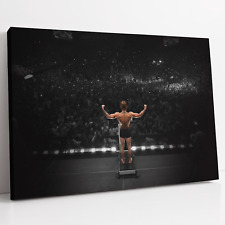 Conor McGregor UFC 189 Chad Mendes Weigh In MMA Canvas Print Wall Art Photo