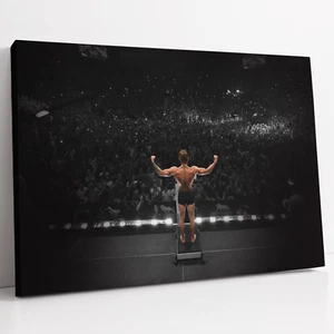 Conor McGregor UFC 189 Chad Mendes Peso en MMA Lienzo Impresión Arte de Pared Foto - Imagen 1 de 10