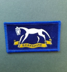 94 (Berkshire) Yeomanry, Royal Signals - Picture 1 of 1