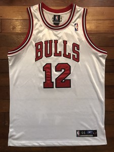 kirk hinrich jersey