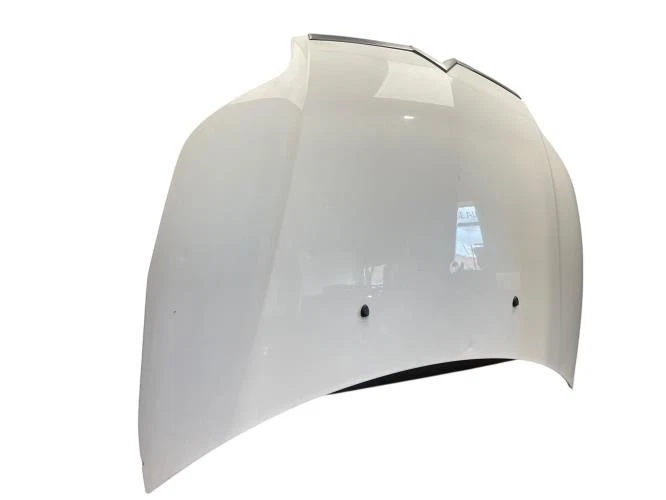 Capot CITROEN C4 1 PHASE 1 COUPE 00007901L1 - Photo 1/4