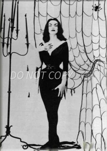 Foto retro pin-up de Halloween 8x10 - arte de póster vintage sexy - Imagen 1 de 1