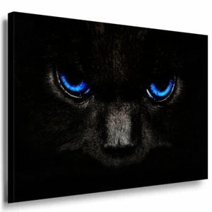 Schwarze Katze mit blauen Augen Leinwandbild AK Art Bilder Mehrfarbig Kunstdruck - Bild 1 von 2