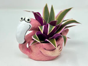 Maceta de 6" en maceta Lg FLAMINGO Blob House con seda sintética rosa y púrpura Tradescantia J - Imagen 1 de 5