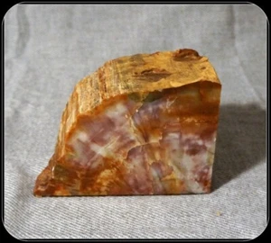 4X4X3 madera petrificada (piedra) 3,5 libras y respaldo de fieltro #A1902 - Imagen 1 de 6